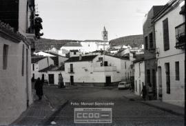 Recogida de algodón y vistas de El Pedroso (Sevilla). – Foto 3