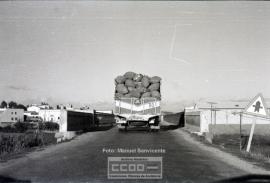 Recogida de algodón y vistas de El Pedroso (Sevilla). – Foto 2