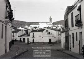 Recogida de algodón y vistas de El Pedroso (Sevilla). – Foto 5